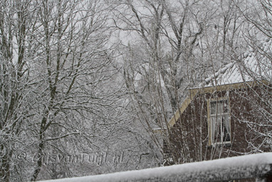 2010_12_21 Lo Sneeuw dagen rond Gameren