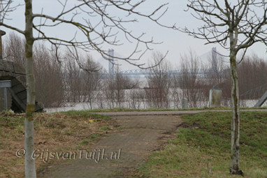 2011_01_16 Lo Hoog water Bommelerwaard