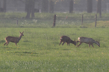 2011_04_20 Lo met Sjaak Rampert en Nederhemert