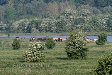 2011_04_24 Lo Workshop De Blauwe Kamer