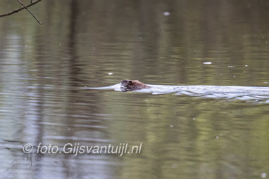 2017_04_07 Lo De Hurnse Kil