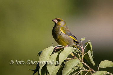 2017_04_30 Zouweboezem gebied