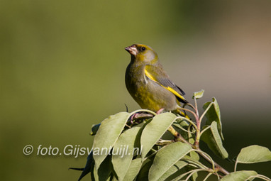 2017_04_30 Zouweboezem gebied
