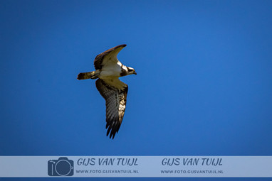 2020_04_20 Everdingerwaard