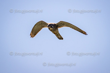 2020_04_20 Zouweboezem