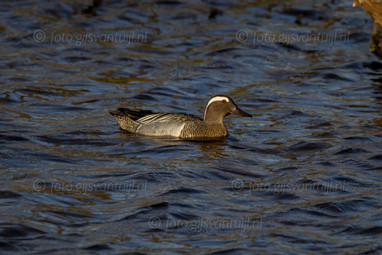 2021_04_21 Munnikenland en Capreton