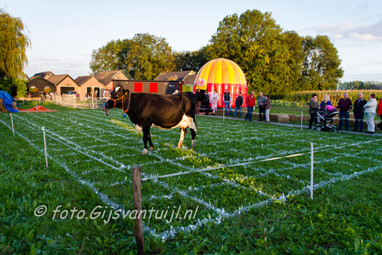 2015_09_25 Lo d'n Treffer waar schijt de Koe